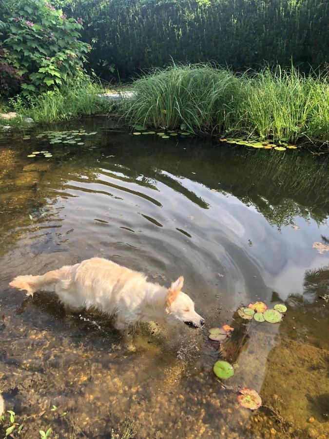 Millies Hosting - Familienurlaub Mit Hund In Kaernten Sankt Paul im Lavanttal Exteriér fotografie
