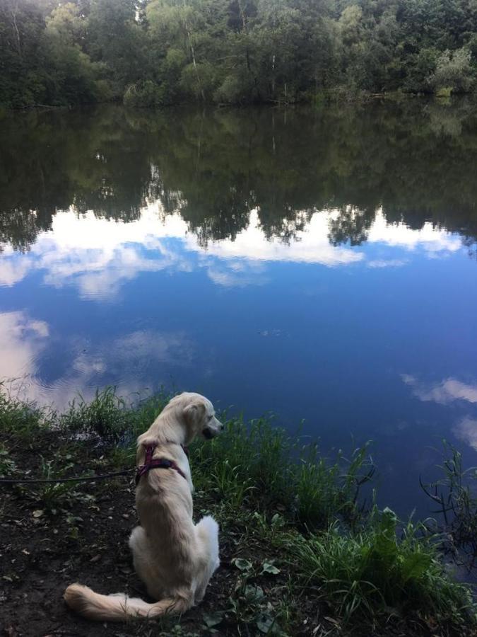 Apartmán Millies Hosting - Familienurlaub Mit Hund In Kaernten Sankt Paul im Lavanttal Exteriér fotografie