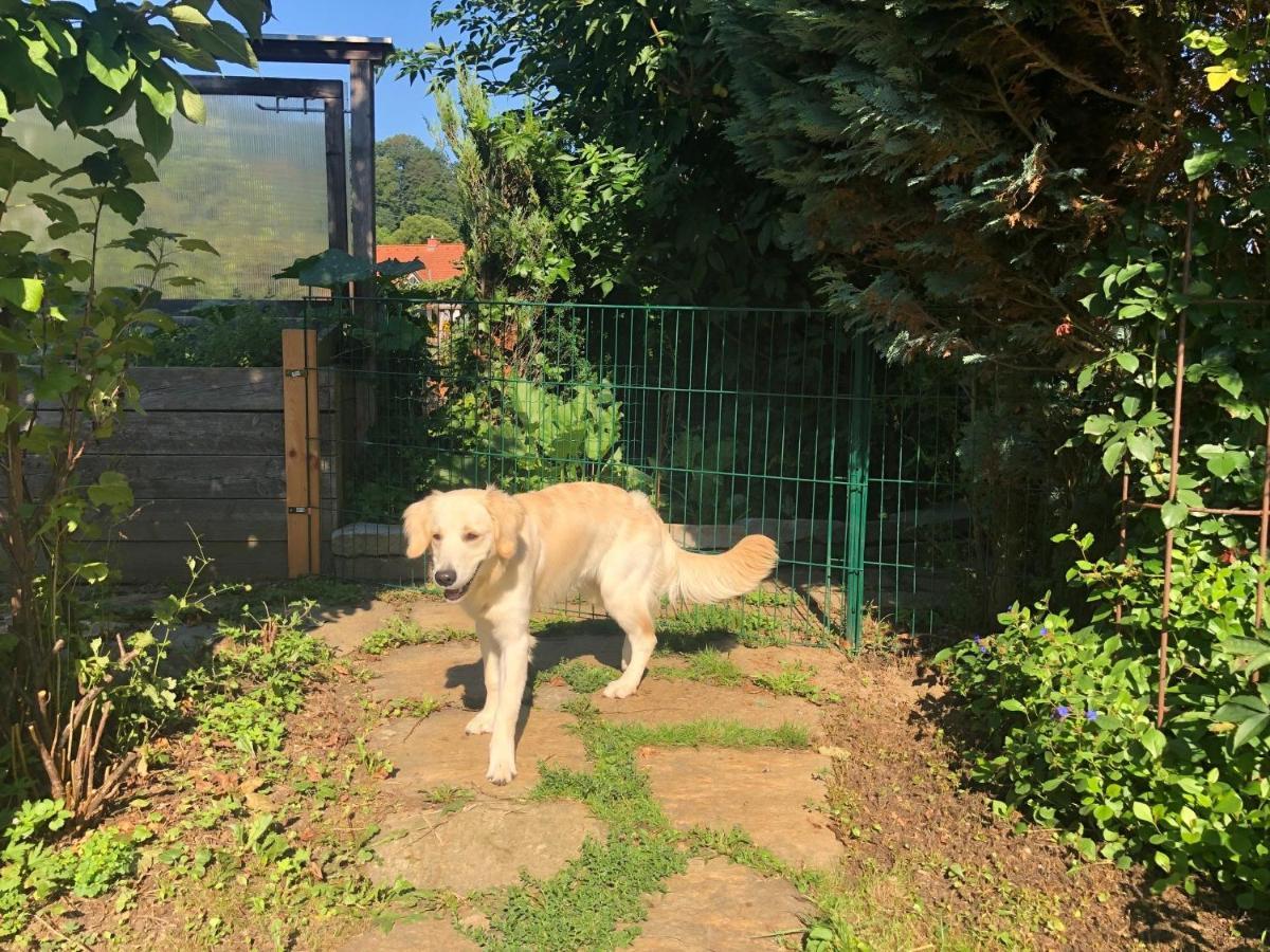 Millies Hosting - Familienurlaub Mit Hund In Kaernten Sankt Paul im Lavanttal Exteriér fotografie