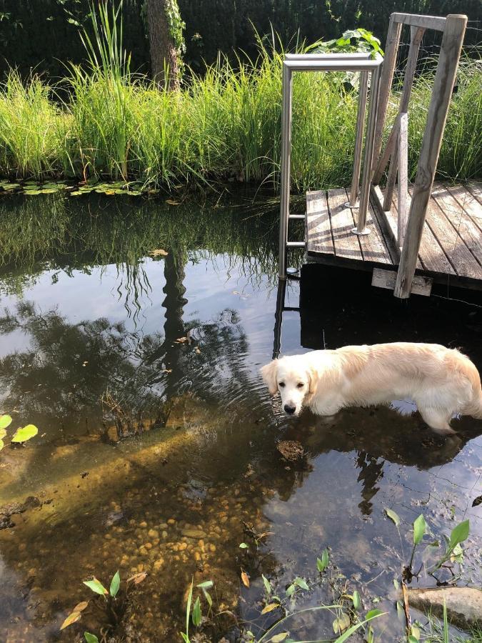 Millies Hosting - Familienurlaub Mit Hund In Kaernten Sankt Paul im Lavanttal Exteriér fotografie