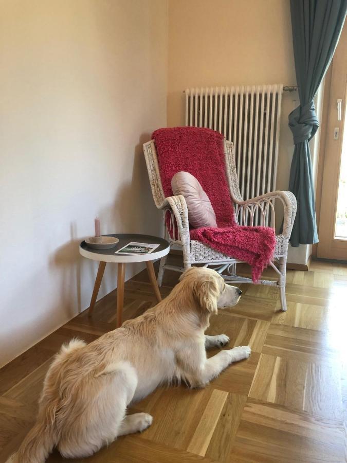 Millies Hosting - Familienurlaub Mit Hund In Kaernten Sankt Paul im Lavanttal Exteriér fotografie