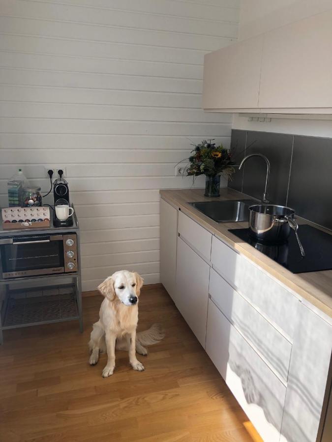 Apartmán Millies Hosting - Familienurlaub Mit Hund In Kaernten Sankt Paul im Lavanttal Exteriér fotografie