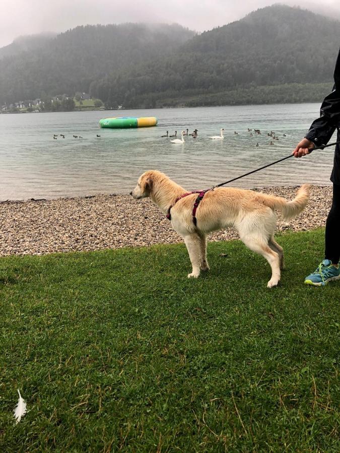 Millies Hosting - Familienurlaub Mit Hund In Kaernten Sankt Paul im Lavanttal Exteriér fotografie