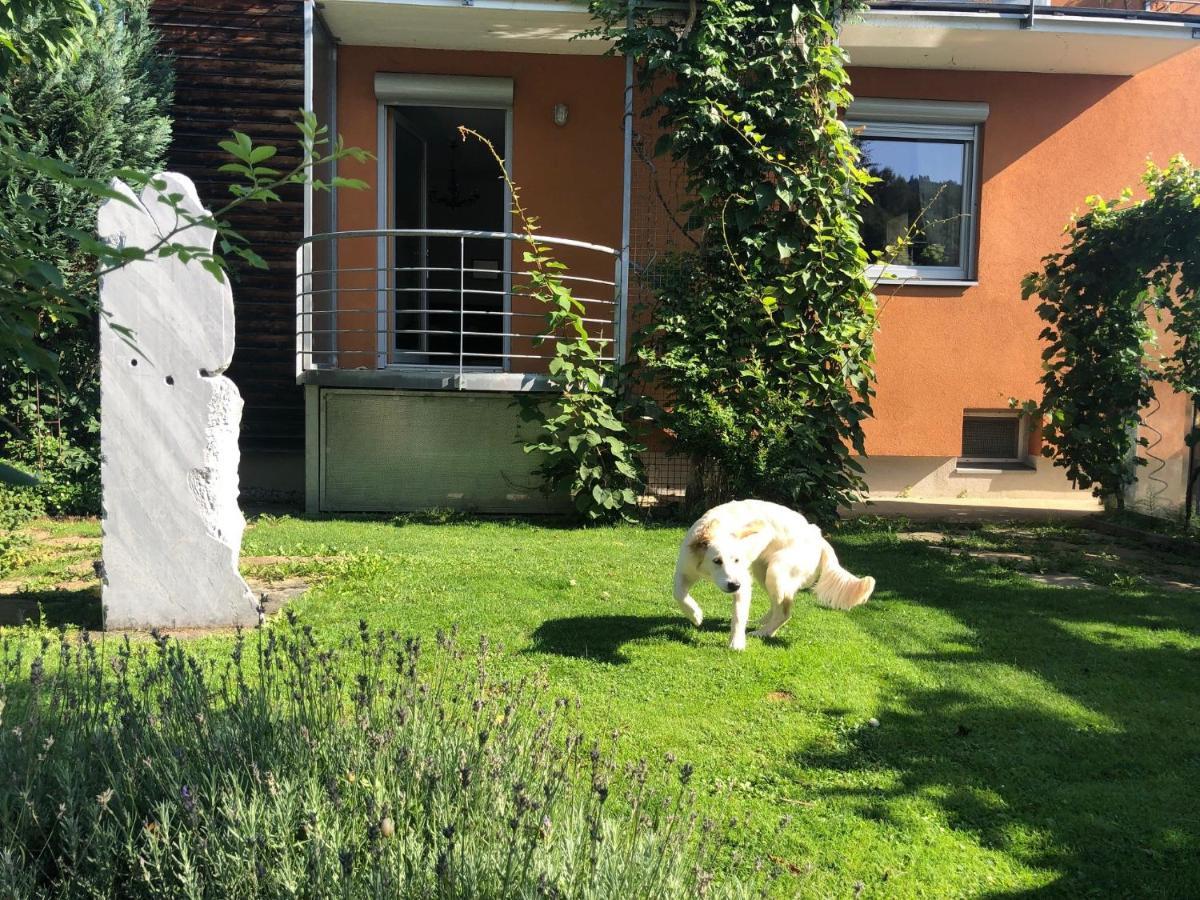 Millies Hosting - Familienurlaub Mit Hund In Kaernten Sankt Paul im Lavanttal Exteriér fotografie