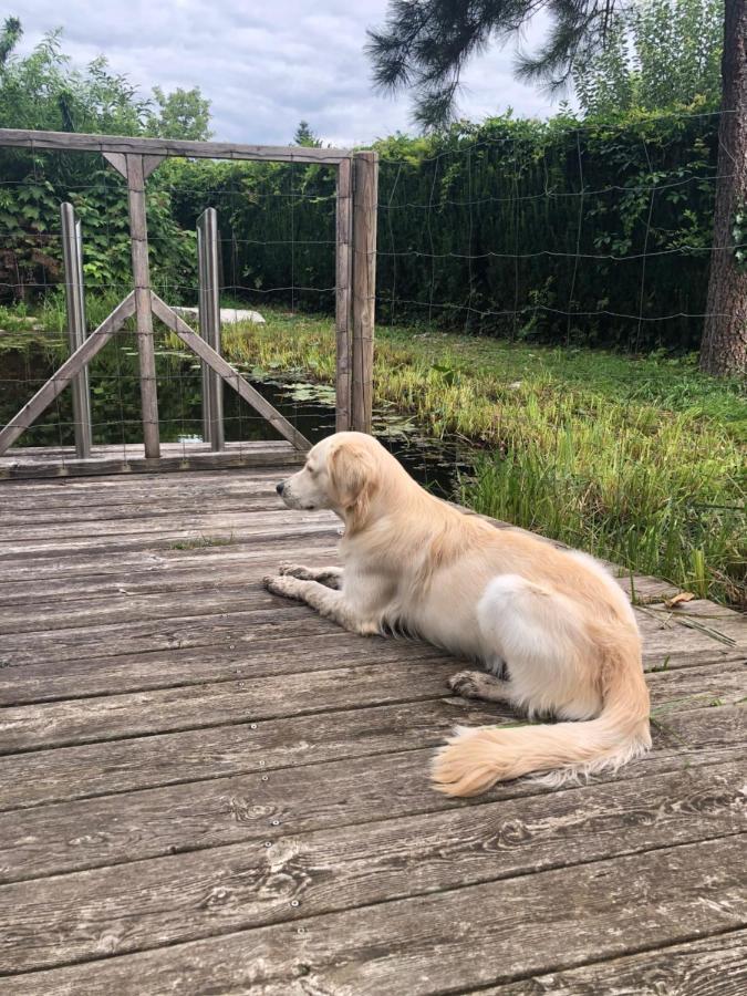 Millies Hosting - Familienurlaub Mit Hund In Kaernten Sankt Paul im Lavanttal Exteriér fotografie
