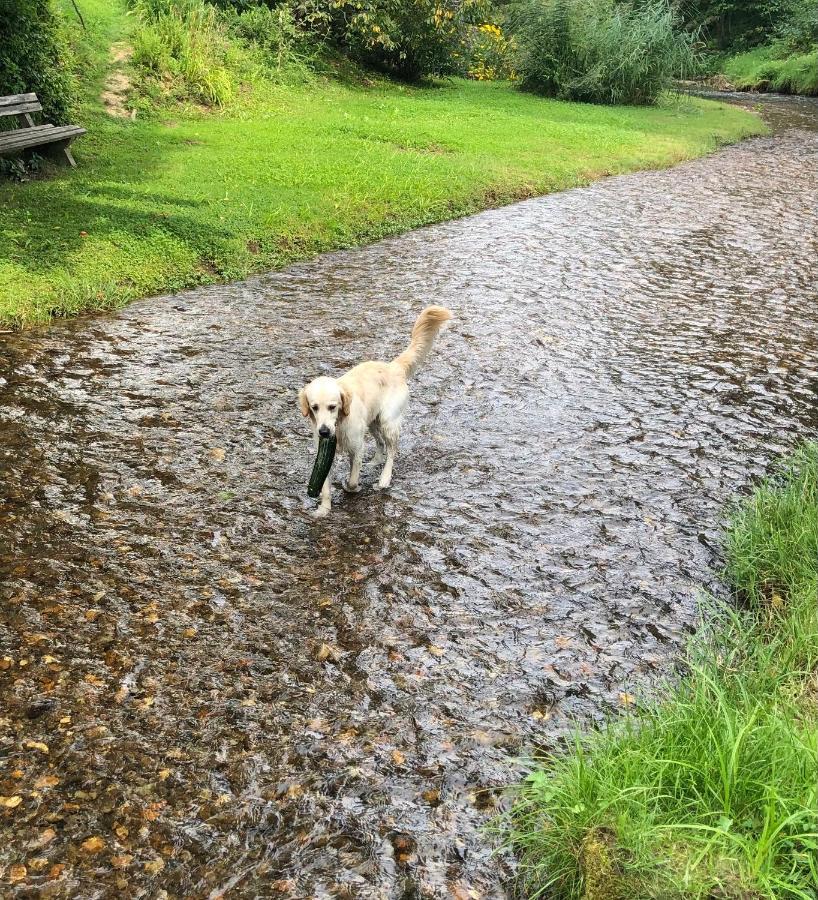 Millies Hosting - Familienurlaub Mit Hund In Kaernten Sankt Paul im Lavanttal Exteriér fotografie