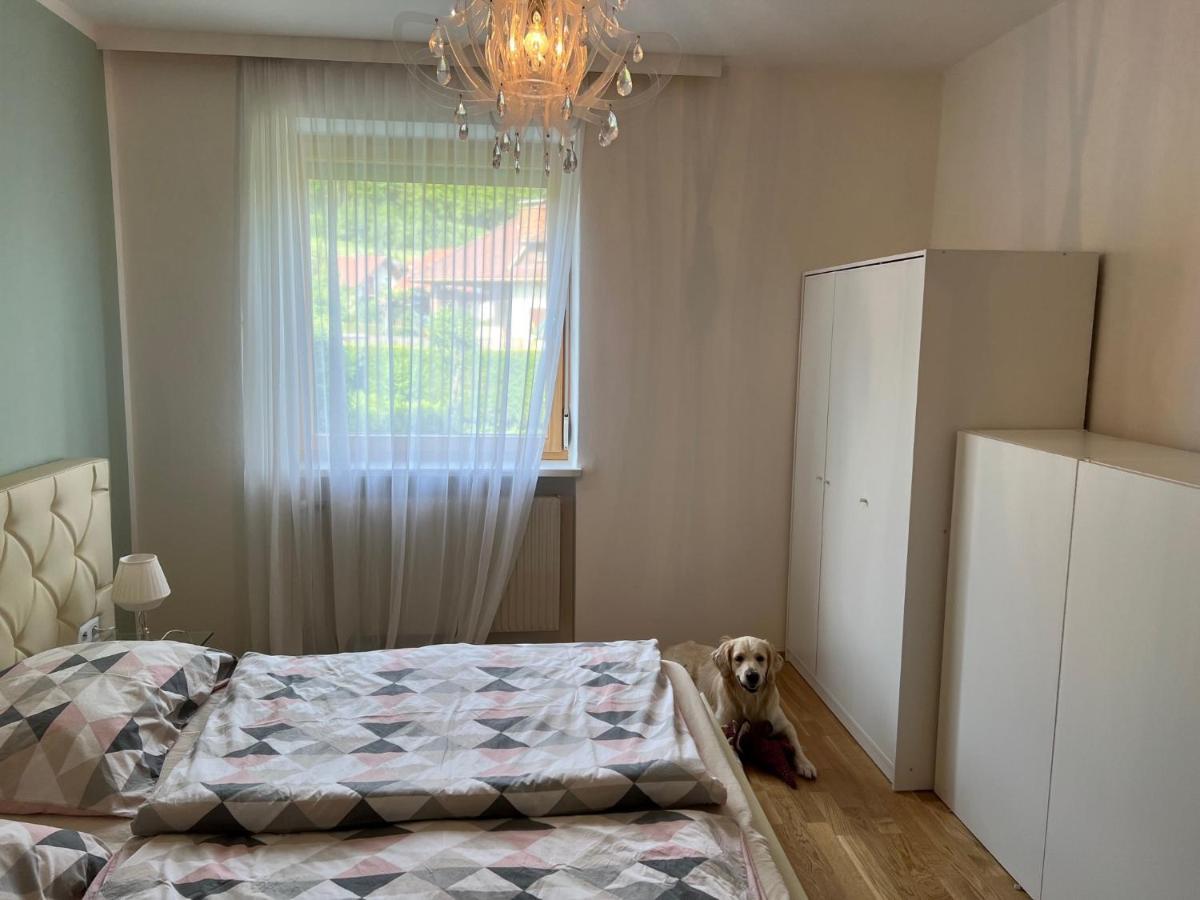 Millies Hosting - Familienurlaub Mit Hund In Kaernten Sankt Paul im Lavanttal Exteriér fotografie